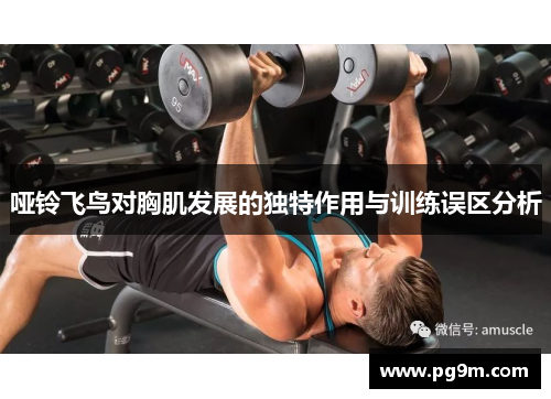 哑铃飞鸟对胸肌发展的独特作用与训练误区分析